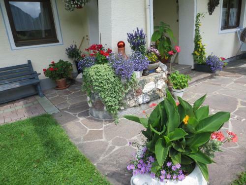 Hostal G�stehaus Scharler