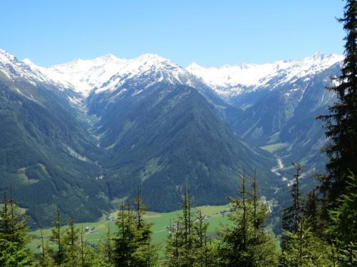 Hostal G�stehaus Scharler