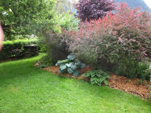 Hostal G�stehaus Scharler