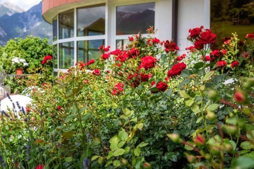 Hostal G�stehaus Gerti