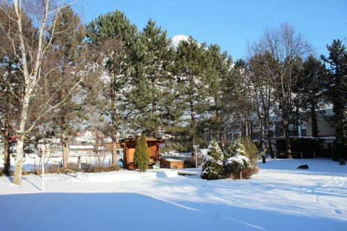 Hostal Chalet Dietrich