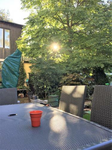Apartment Sch�nbrunn
