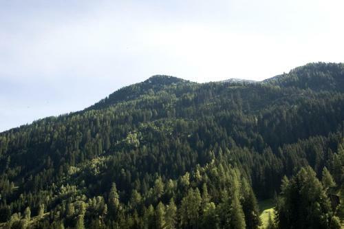 Apartamento Haus Deiser
