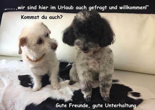 Apartamento Haus Wilhelmer