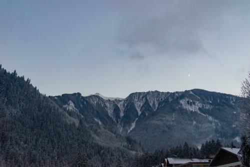Hostal G�stehaus Hornegger