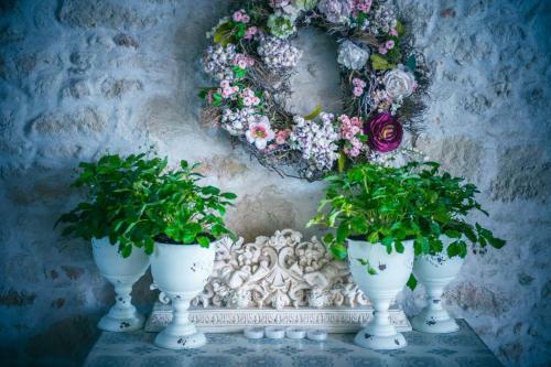 Timimoo Art Boutique Hotel B�rgerhaus