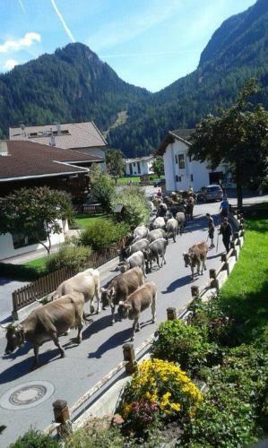 Agroturismo Haus Stefan
