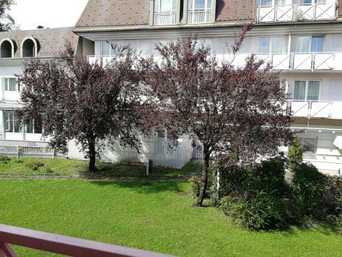 Comfort Family Apartments