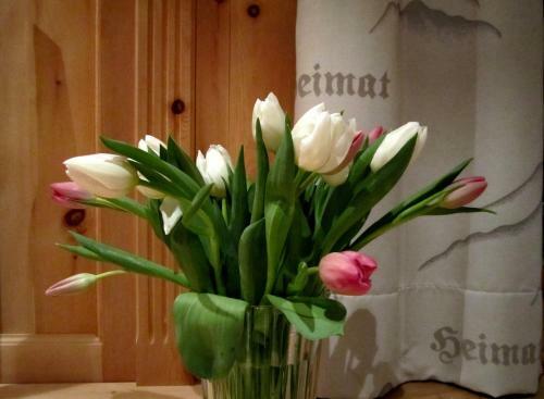 Hostal Elisabeth Serfaus