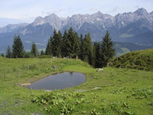 Apartamento Almliesl Zell-315
