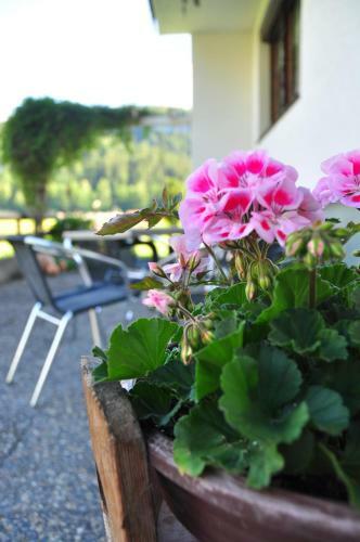 Apartamento R�ssle Appartement