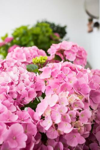 Apartamento Appartement Am Sonnweg