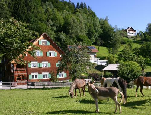 Hotel Gasthaus Sch�fle