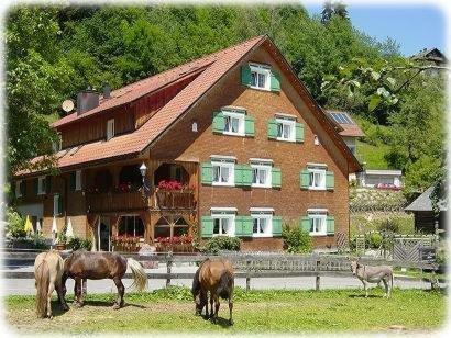 Hotel Gasthaus Sch�fle