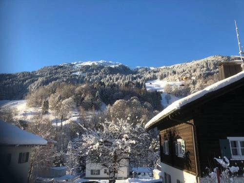 Apartamento Ferienhaus B�sch