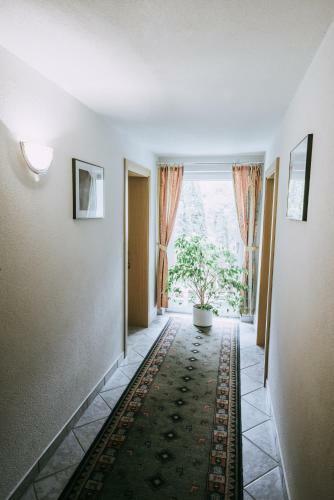 Hostal Haus Rainbach