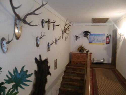 Agroturismo Martinshof