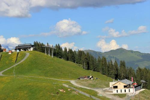 Hotel Schmiedhof Alm