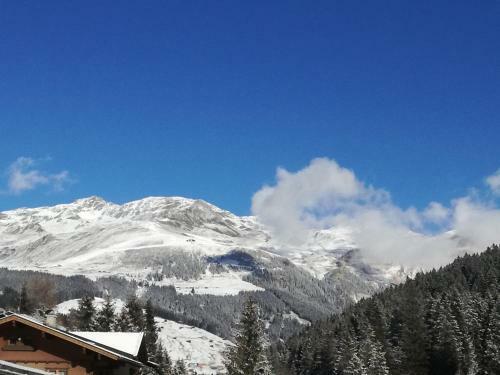 Apartamento Alps Tux
