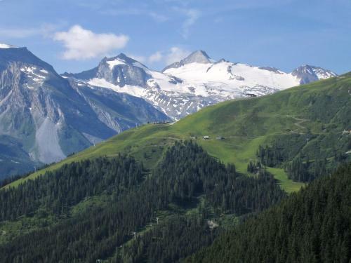 Apartamento Alps Tux
