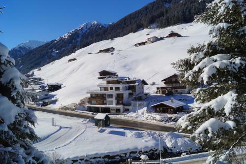 Apartamento Alps Tux