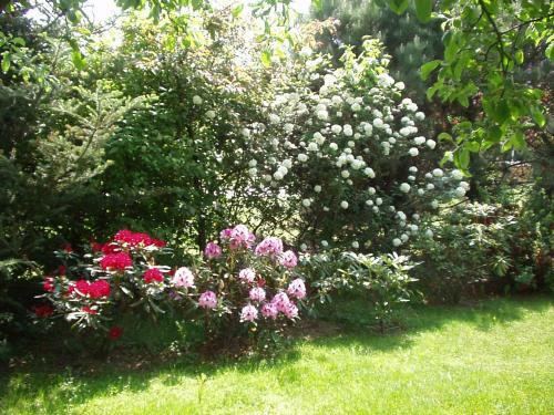 Hostal Pension & Apartments Ertl