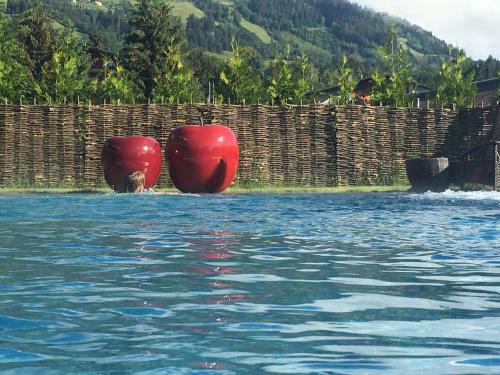Aktiv- Und Wellnesshotel Haidachhof Superior