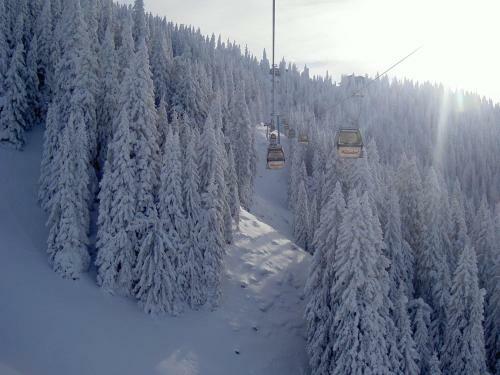 Apartamentos Appartement Haus Veronika