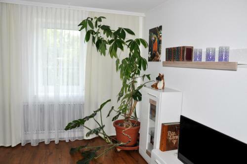 Hostal G�stehaus Wachau