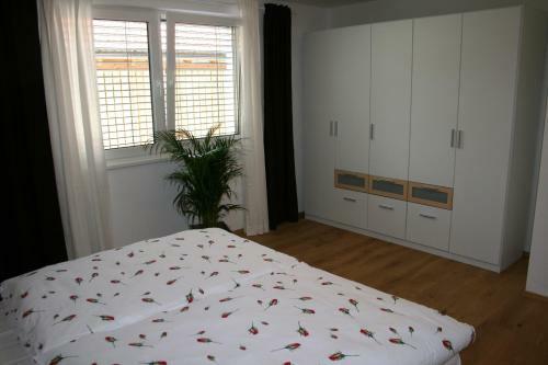 Apartment Sch�dle