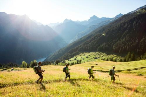 Montafon Chalets