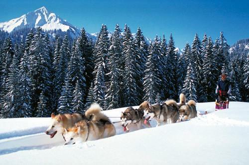 Villa Alpen Select Lodge Kleinwalsertal