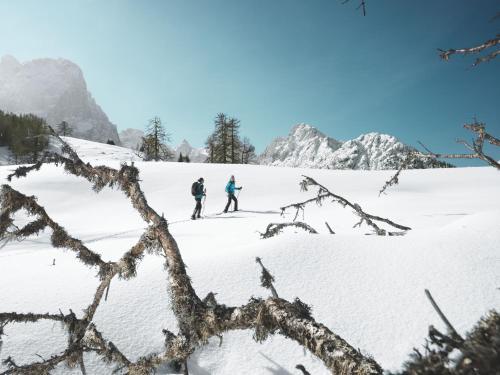Hotel Alpengasthof Pichler