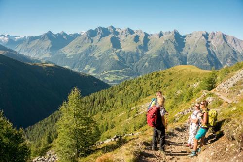 Hotel Alpengasthof Pichler