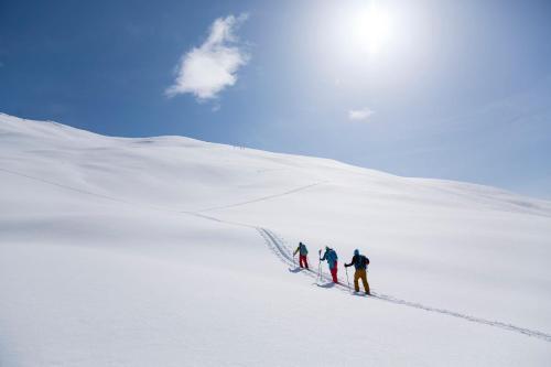 Hotel Alpengasthof Pichler