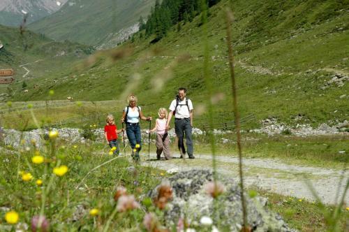 Hotel Alpengasthof Pichler