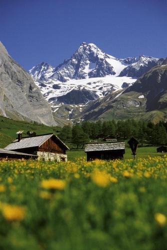 Hotel Alpengasthof Pichler
