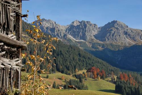 Hostal G�stehaus Fritz