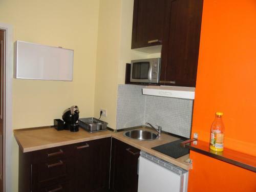 Apartment Viktoria
