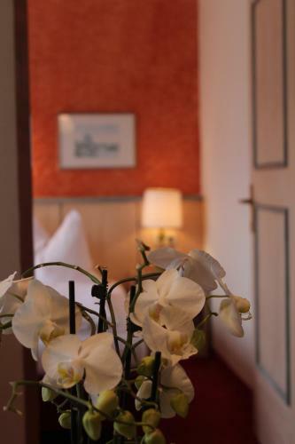 Hotel-pension Das Platzl
