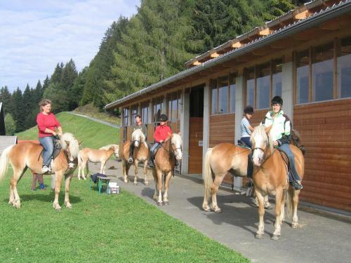 Apartamentos M�sslacher's Ferienwohnungen