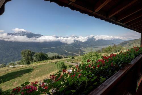 Apartamentos M�sslacher's Ferienwohnungen