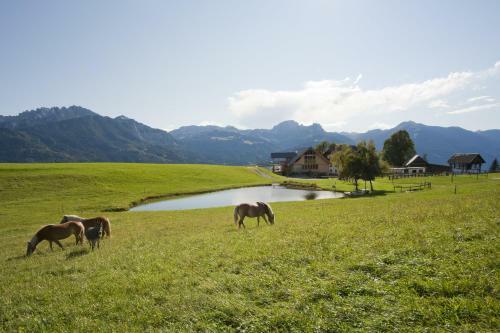 Apartamentos M�sslacher's Ferienwohnungen