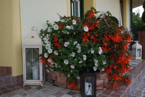 Apartamento Appartementhaus Olympia Schl�ssl