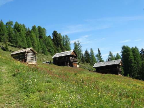 Apartamento Ferienwohnung Bergmann