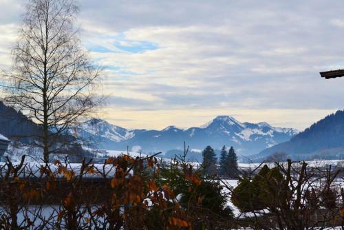 Apartamento Ferienhaus Steidl