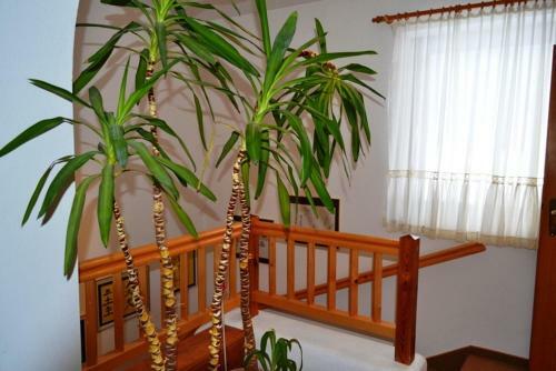 Apartamento Ferienhaus Steidl