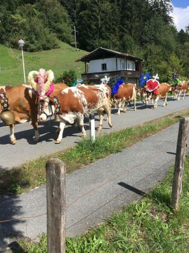 Hostal Pension W�rg�tter