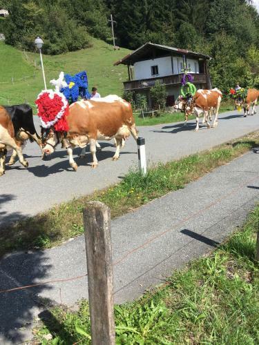 Hostal Pension W�rg�tter