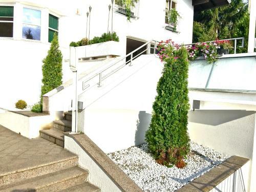 Jack's Lake & Mountain (jlm) Hostel